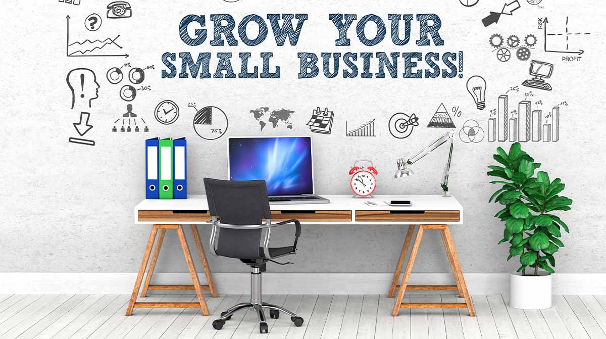 Growing your small business