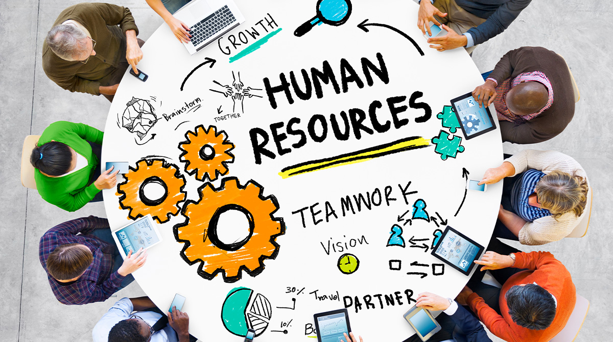 Human Resources Teamwork Skills Resume